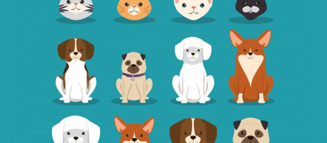 Adote um pet (Imagem: Studio G Stock)