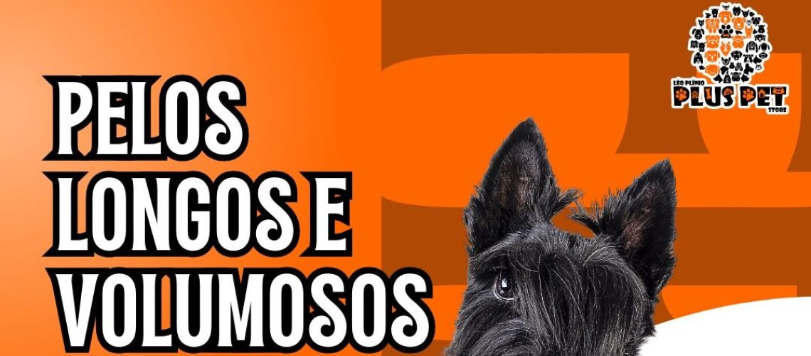 WhatsApp Image 2024-10-18 at 14.49.13